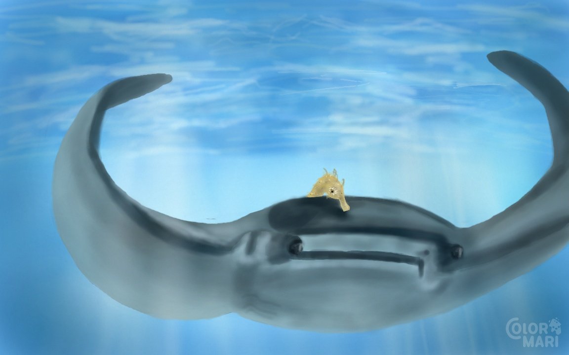 Kisanerry tweet media