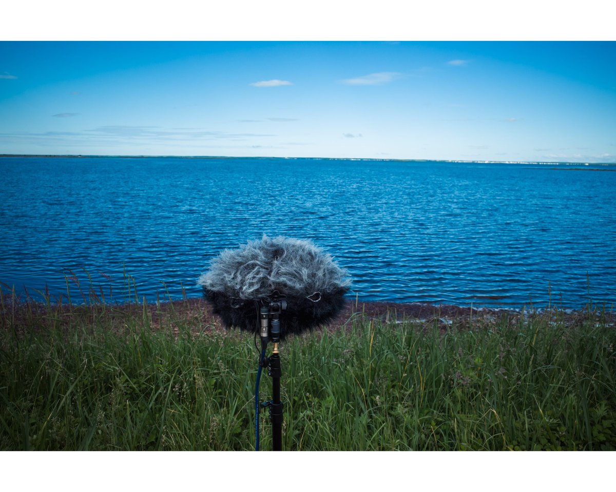 佐藤公俊|Sountrive tweet media