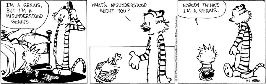 ClassicStrips's tweet photo. Calvin and Hobbes 
Bill Watterson 1993 https://t.co/fX1ZI72M1f