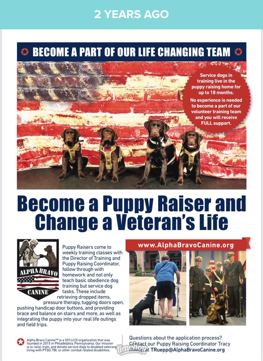 ABCServiceDogs's tweet image. Have you ever thought about changing a veteran’s life? #puppyraising #alphabravocanine