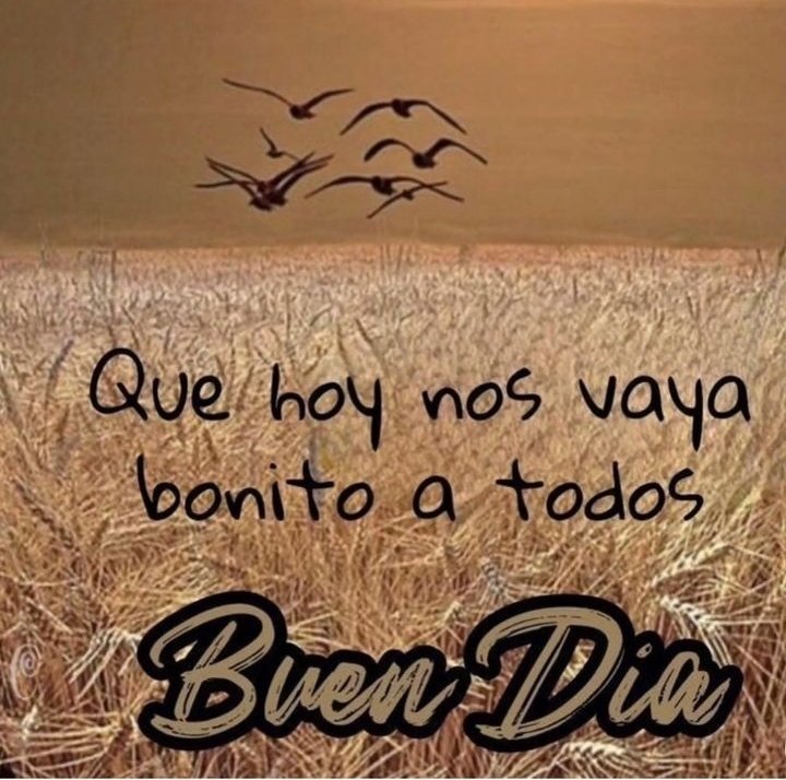 11Mancuso's tweet photo. Feliz y bendecido Martes 
Gracias Dios por este  nuevo día ,🙏🏼 https://t.co/JUATtUpEq2