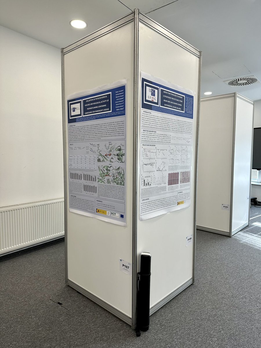 Today we present two of our projects (P166 and P167) at the #EFMCASMC23! #neurodegenerativediseases #Parkinsondisease #severemalaria @EuroMedChem