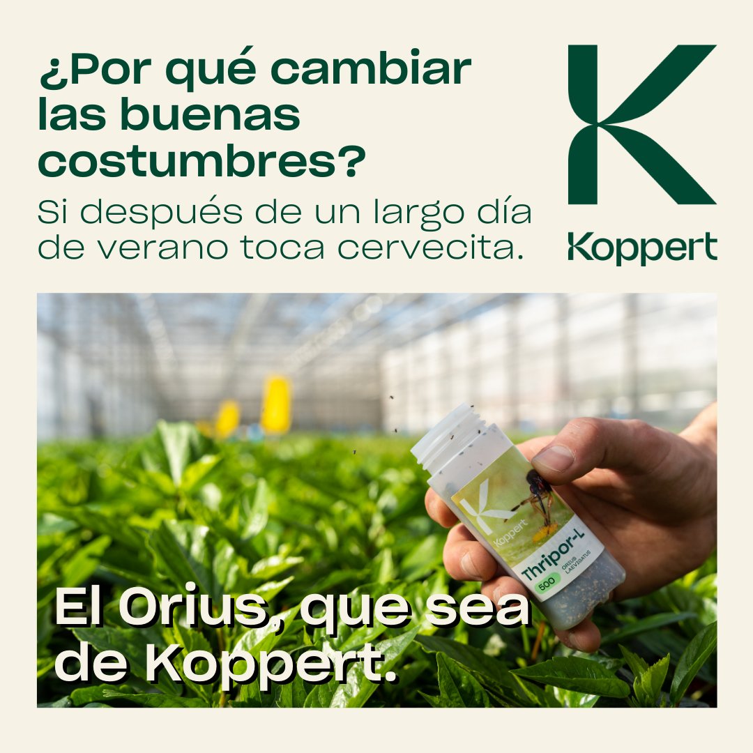 KOPPERT_ES's tweet photo. Hoy solo queremos pedirte que no cambies.💚✨

Porque no hay que perder las buenas costumbres 👉🏽 https://t.co/2KoNlAtF7Q

#Koppert #BioControl #AgriculturaSostenible #Orius https://t.co/PxaIp3u8HA