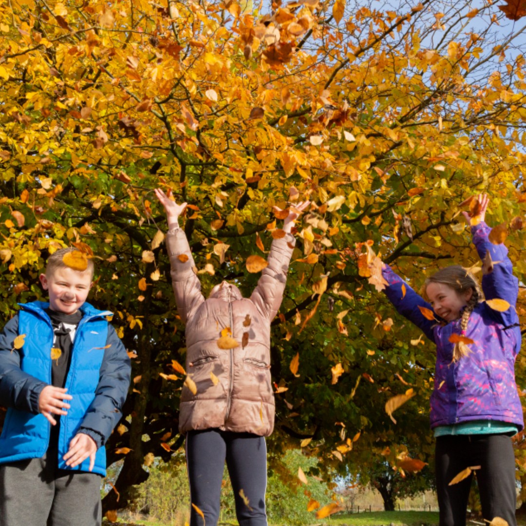 WWTCastleEspie's tweet photo. #Autumn is here! 🍂

The new season is jam-packed with events at #WWTCastleEspie. 

Read your full round-up in our latest blog post 👉 https://t.co/KqWBzAZTgW 

#EmbraceAGiantSpirit #DiscoverNI #VisitAND #LoveAND #DiscoverAND @ni4kids @DiscoverNI @NIFamilyBlog https://t.co/w9XcE602uU