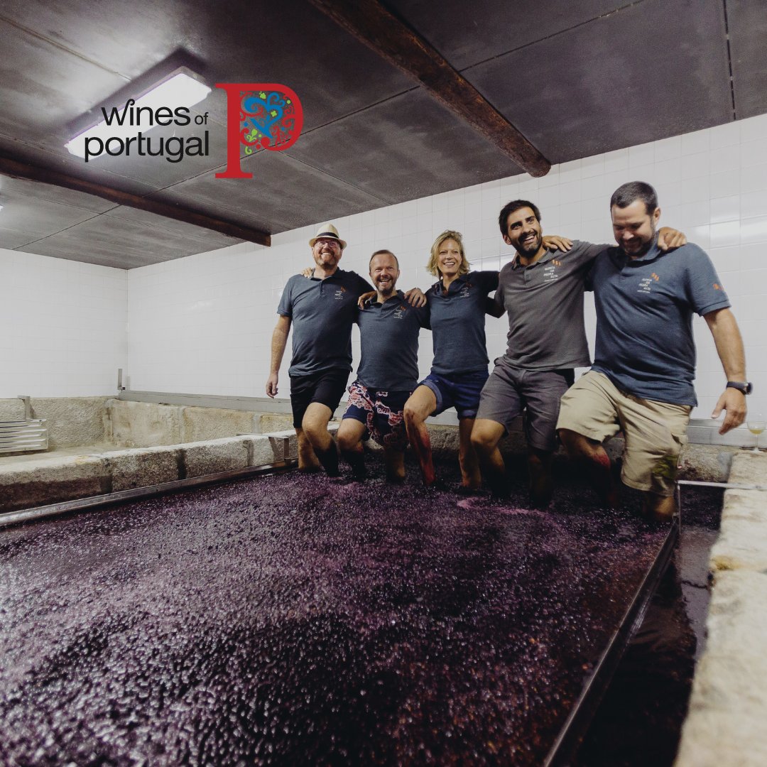 🍷 Join us on Monday 11th September for Wines of Portugal at the Caledonian Club in London, where our friends from Quinta da Pedra Alta will showcase their extensive range.

Link in bio to register.

#winesofportugal #quintadapedraalta #portugal #portuguesewine