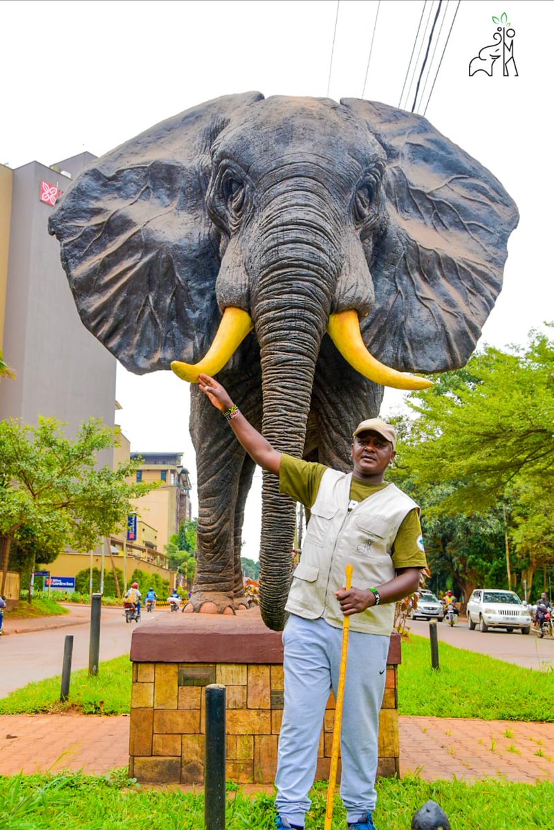 ksuvia1's tweet photo. Wawoooo!!!! We are in Kampala city, walking along the way from Kololo to Kamwokya at Uganda Museums Centre with our chief walker @NyamuJim, UWA officers, and #IvoryBelongsToElephants Team. #walkforelephants and save wildlife at large. @MissionAtHeart1, @eastndy @Baryamujura7. https://t.co/Co0i6k2uok