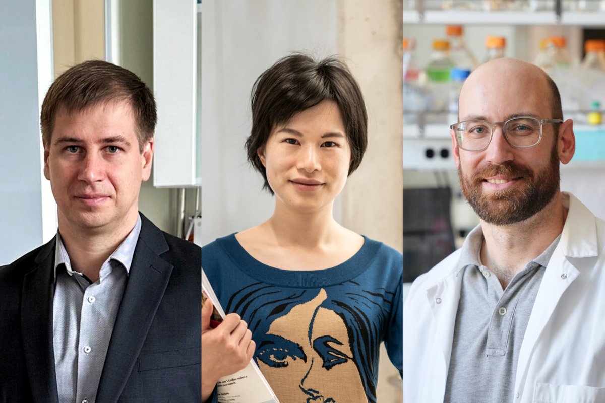 Three exceptional scientists associated with @istaustria have won @erc_research Starting Grants #ERCStG, reaffirming our commitment to driving groundbreaking basic research! Congratulations @chengbingqing @polshynlab @flopraetorius 🔗 bit.ly/45WC8Tq