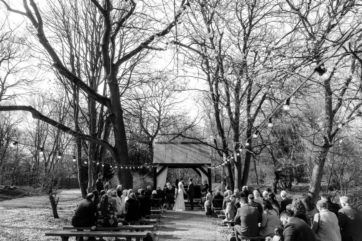 Last Edition tweet media