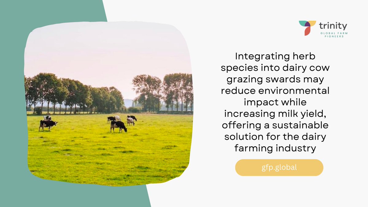 Trinity Global Farm Pioneers tweet media