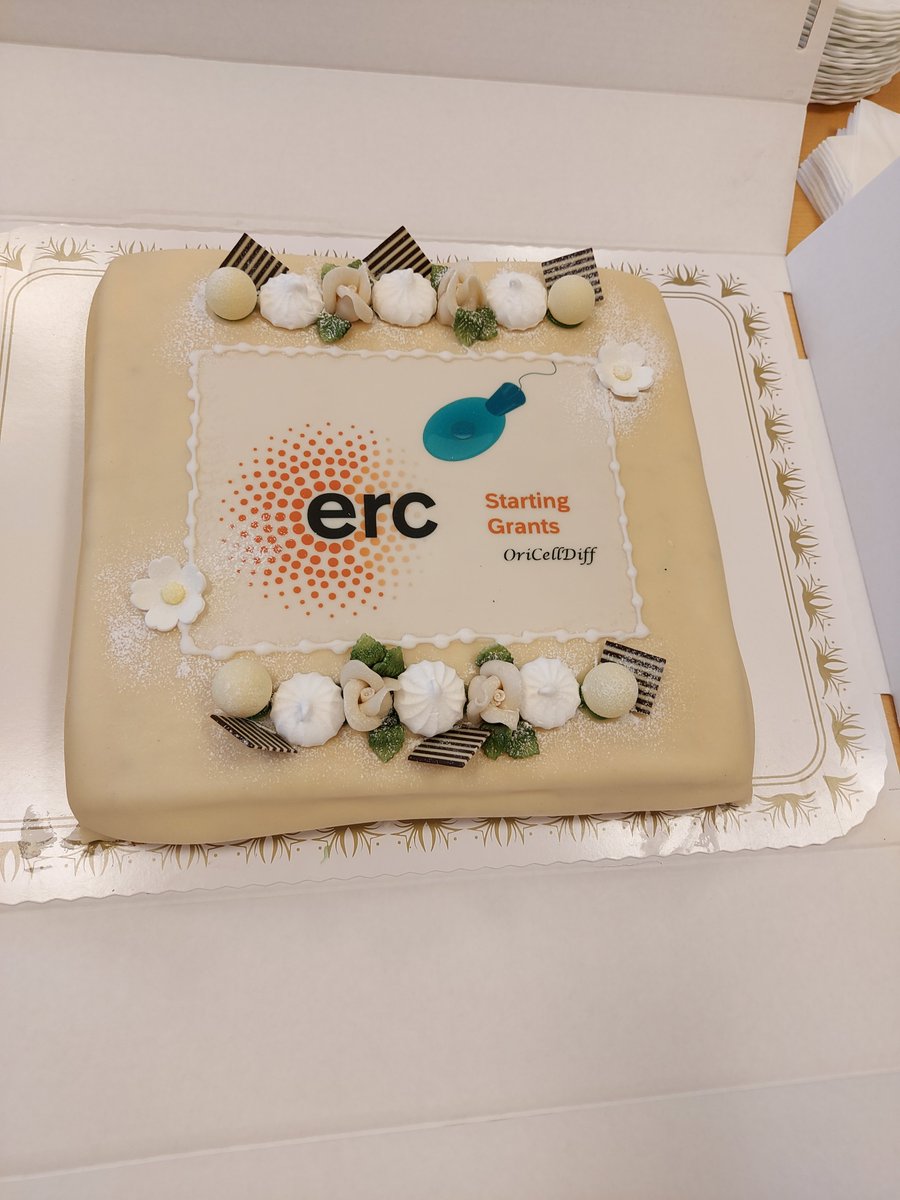 Excited to finally share that I have been awarded an ERC Starting Grant and I will start my own group at the Center for Chromosome Biology @uniofgalway  in 2024 working on chromatin and gene regulation in choanoflagellates! #ERCStG @ERC_Research 
Cake courtesy of @MSarsCentre