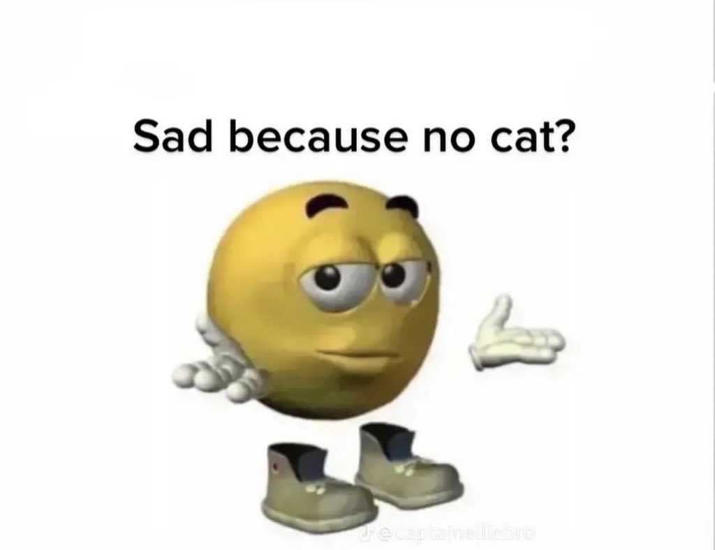 ShouldHaveCat's tweet photo. https://t.co/k00qZtrE7V