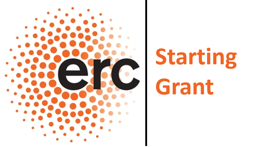 Maliheh Mehrshad tweet media