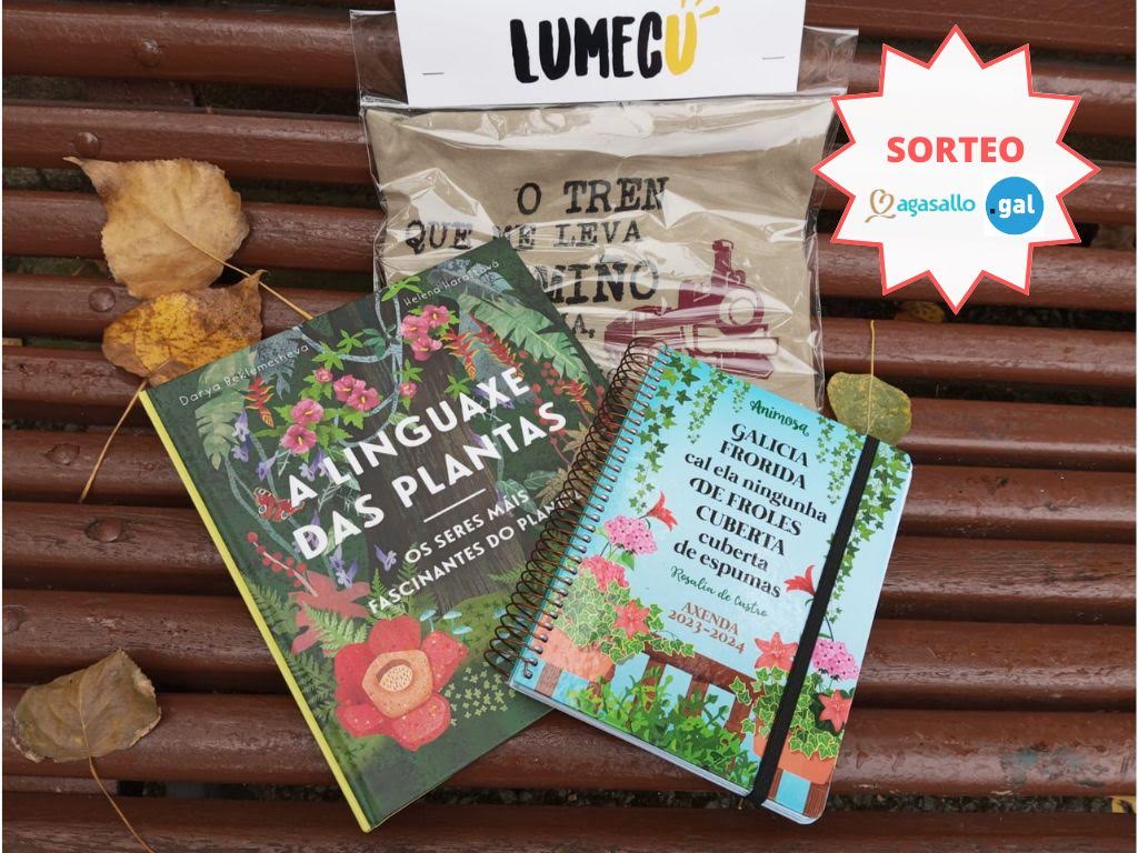 PuntoGal tweet media