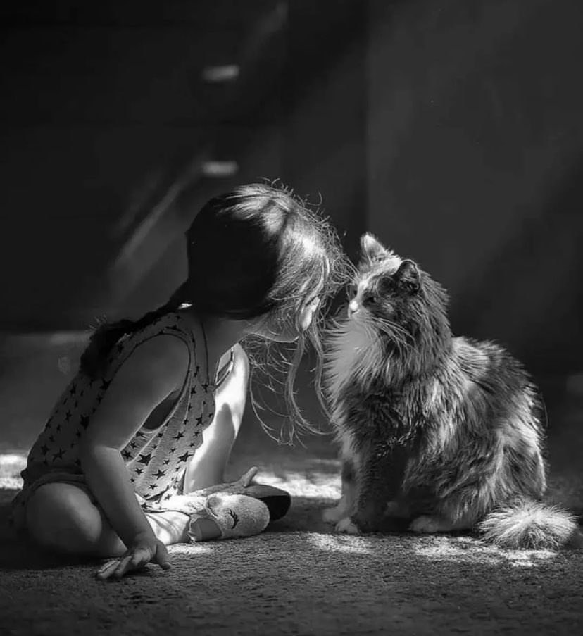 Korkuyla baktığında farklı
Sevgiyle baktığında farklı bu dünya…
An be an değişiyor Güzellik…
Sana göre ve kalbinin projeksiyonuna göre her an değişiyor…

“Akıyorsa göz yaşın kurumasın” dediği gibi
Kalbindeki merhamet pınarı da aksın ve kurumasın…
Hüznün şifa, pişmanlığın