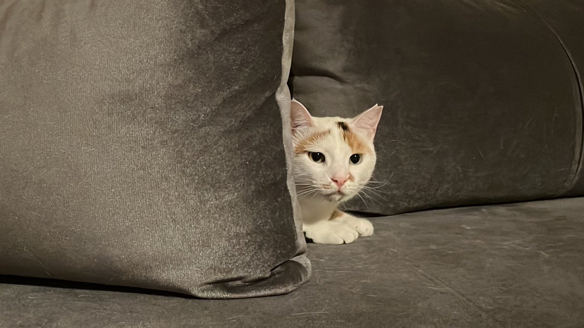 nolmus her yerleri tuy yaptiysam