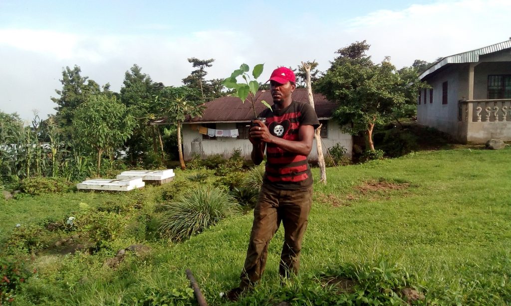 Green Cameroon tweet media