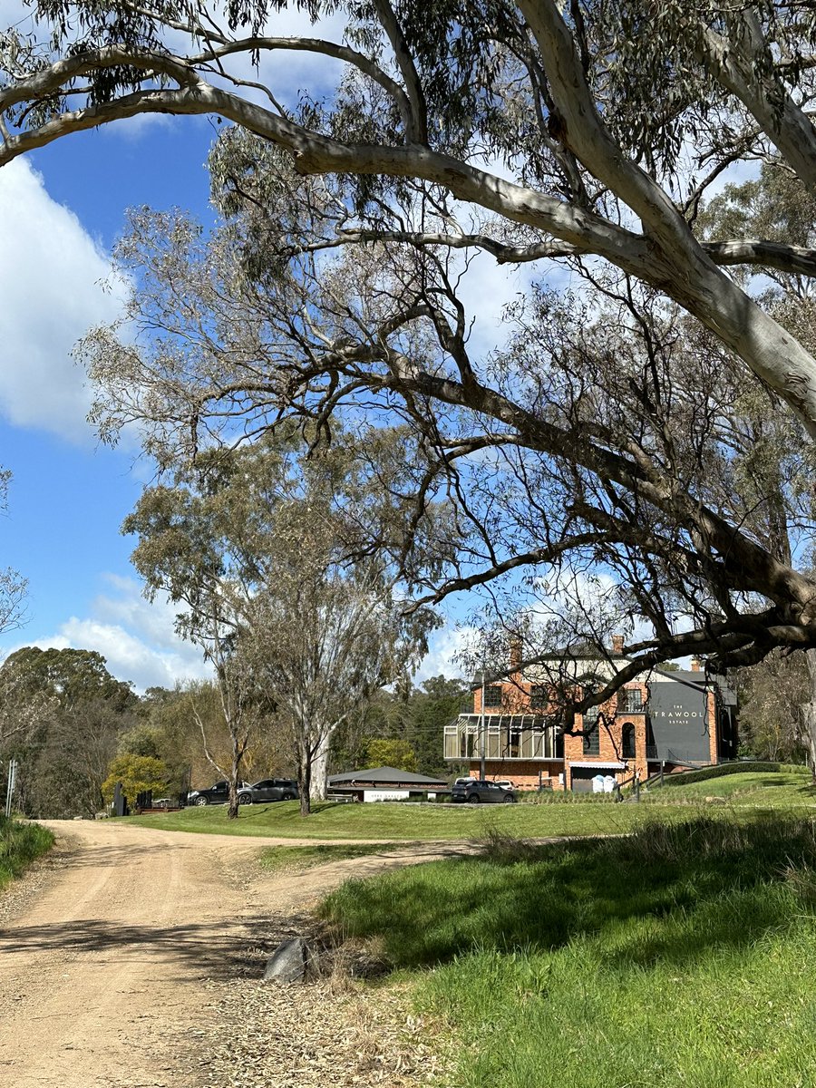 newietraveller's tweet photo. @julesaj1 Day 5 of our #VictorianRailTrail road trip was a stop at Talwood Estate, unfortunately the bar & outdoor dining was closed🤦🏻♂️. Would loved to have a wine & lunch here while enjoying that view #roadtrip #winery #explore #discover #disappointment #Talwood https://t.co/at5ss1wsTw