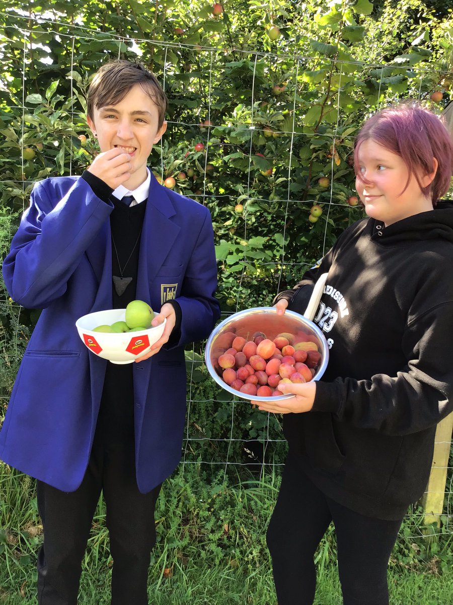 Bountiful harvest from the school garden this morning