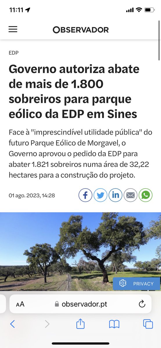 a) @govpt, em velocidade furiosa ZeroCO2, autoriza abate de 1.800 sobreiros (espécie protegida) p/EDP fazer €crescer herdade eólica; 

b) Bill Gates herói Fast&Furious Quer abater milhões de árvores, enterrar a madeira e $salvar planeta.

Moralidade: “Heroes of Da $Boiling Era.”