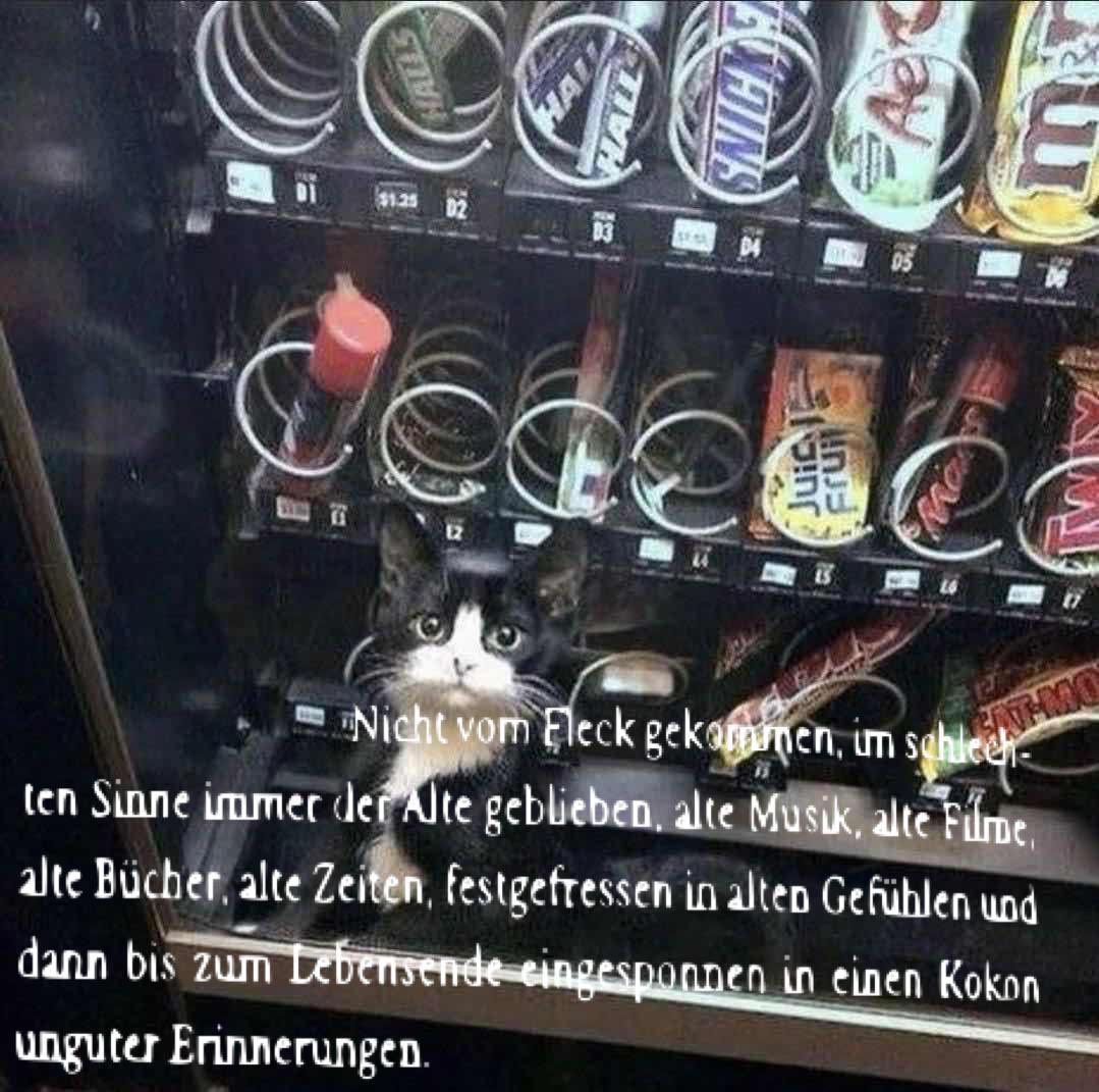 PSzynarowski's tweet photo. Einsamkeit ist nicht so lustig, wie man denkt . #fortressofsolitude #lahnstein #einsamkeit https://t.co/D3HuL7Ldez