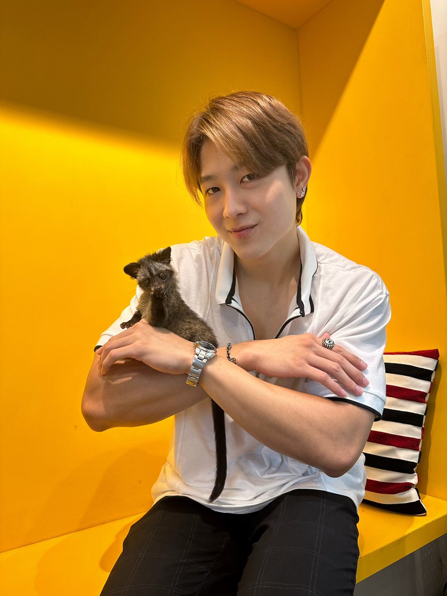 น้อนนน!! 
เอากลับบ้านดีมั้ยเนี่ยน้อนขี้อ้อนไม่ไหว 🥹

#ลงรูปบ้างเดี๋ยวลืมหน้ากัน 🤣