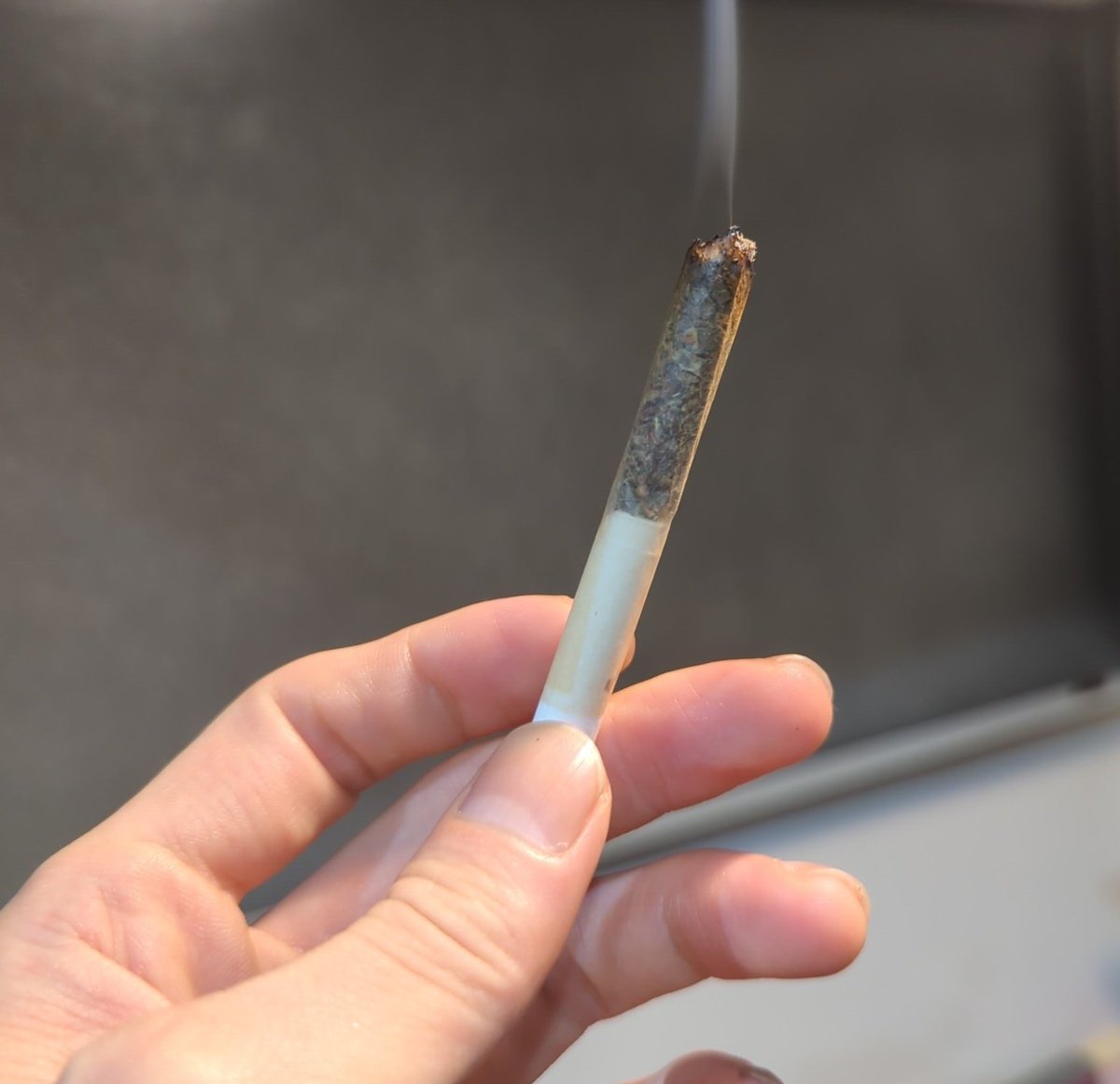 dosanko_sinse2's tweet image. 手元からジョイント消えていくの寂しいんですけど。

#THCB