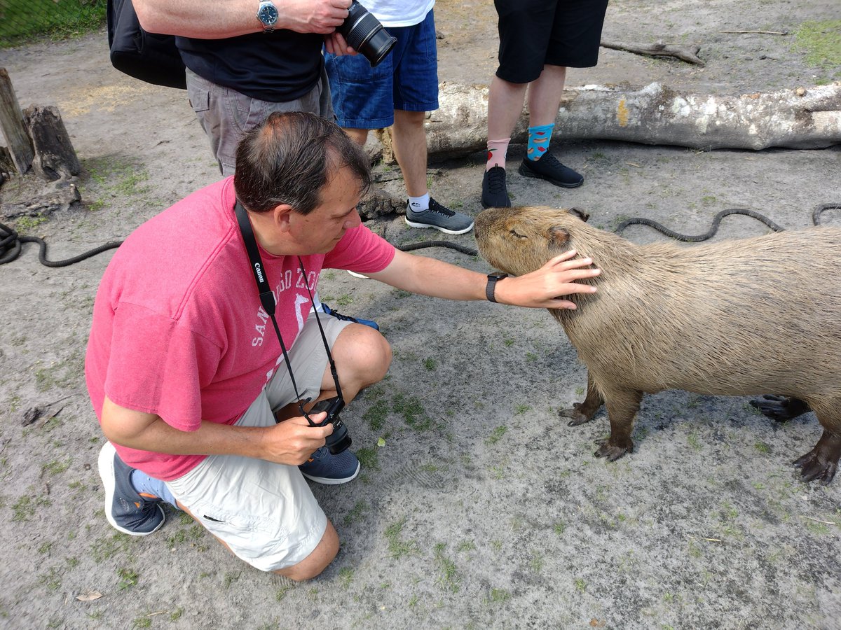 GrantWoolway's tweet photo. @SarahChampion From our trip to @AmazingAnimalsi in Florida last year https://t.co/7c9xMbayRR