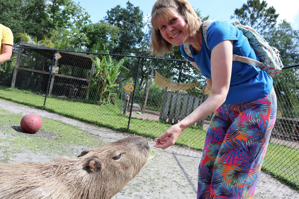 GrantWoolway's tweet photo. @SarahChampion From our trip to @AmazingAnimalsi in Florida last year https://t.co/7c9xMbayRR