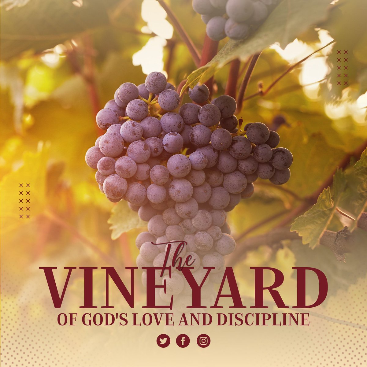 StephenSturlaug's tweet photo. Like a well-tended vineyard, 'The Lord of the Harvest' demonstrates how God nurtures us with #care and prunes us with #wisdom, leading to a life rich in #purpose and #faith. 📖

#SpiritualGrowthJourney #TransformationalReads #DivineNurturing #BookLovers #MustReads #InspiringReads https://t.co/6vwlOLcGmr