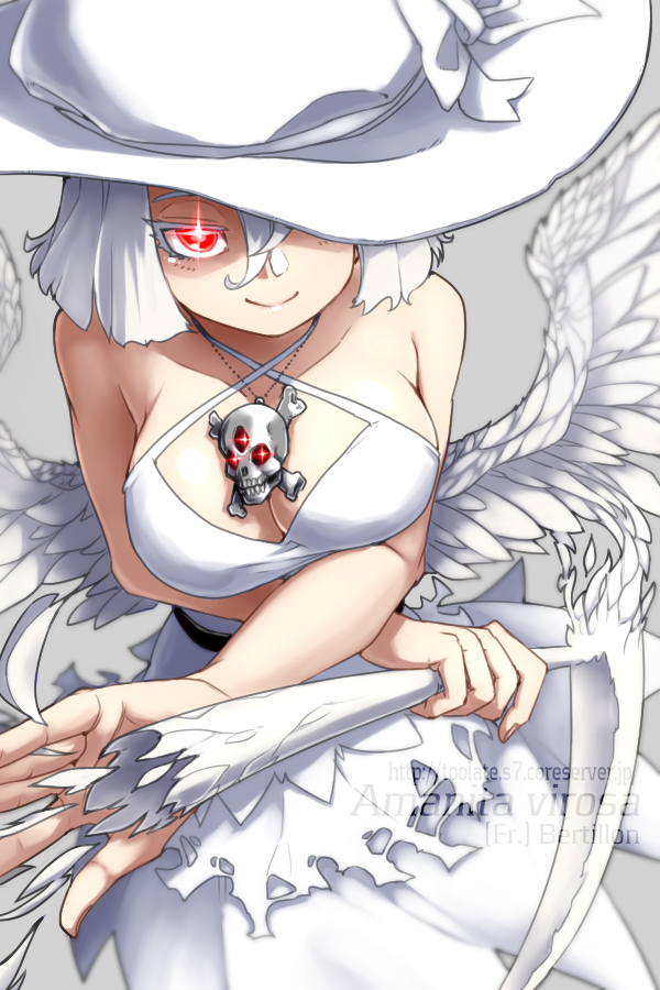 「我が家のキノコ擬人化娘の創始者3人、アマニタ・ヴィロサ、アマニタ・ヴェルナ、アマ」|oso 的キノコ擬人化図鑑のイラスト