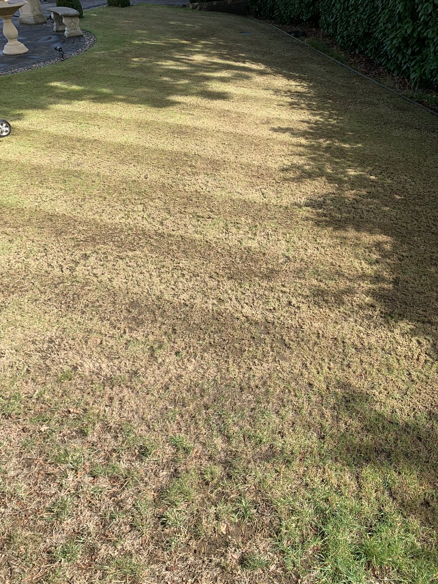 PJ Lawn Care tweet media