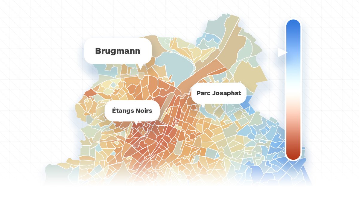 Nicolas Baudoux tweet media