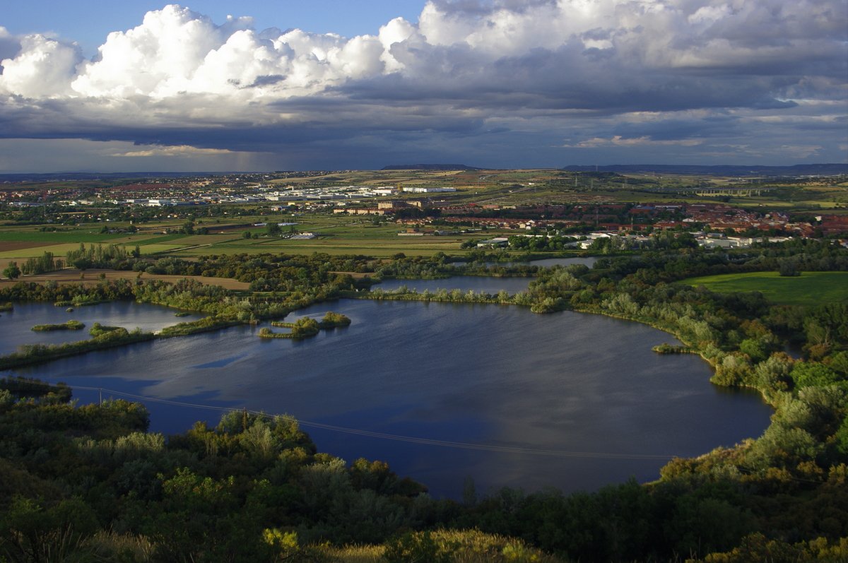 Descubre y disfruta nuestras propuestas para explorar una naturaleza única en la Comunidad de Madrid. Los otoños en el valle del Jarama no se olvidan. #EspacioCamino #Jarama #VelilladeSanAntonio