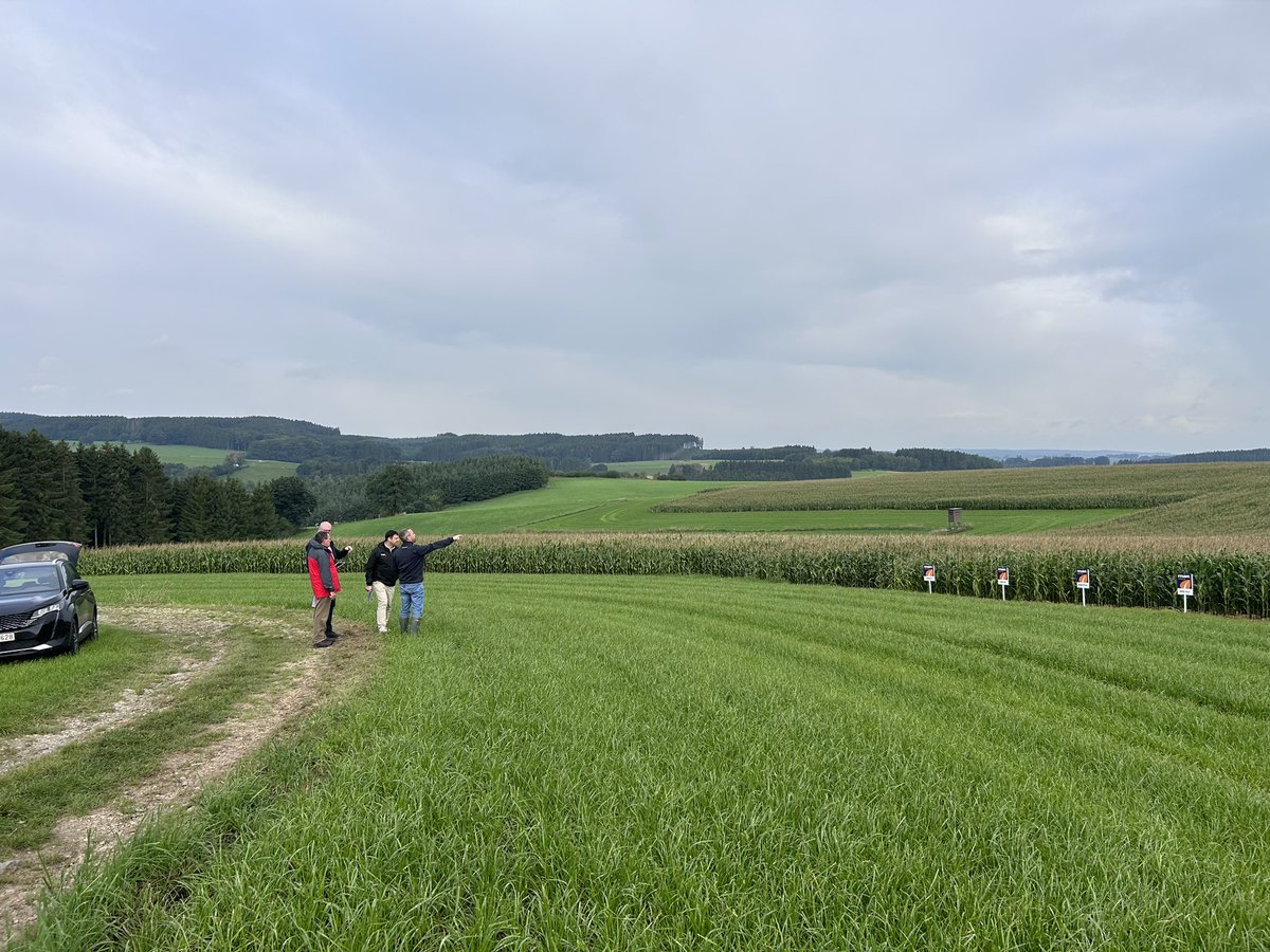 A great trip away visiting @MASSeeds trials in Belgium and Luxembourg last week! 🇧🇪🌽🇱🇺👌

As ever, some interesting developments coming this way! 👍

#farming #agriculture
