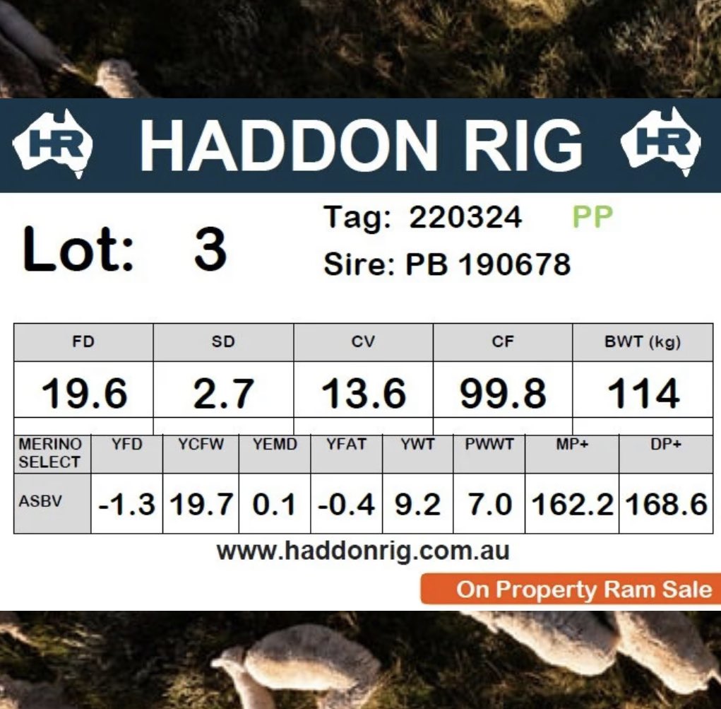 haddonrigstud tweet media