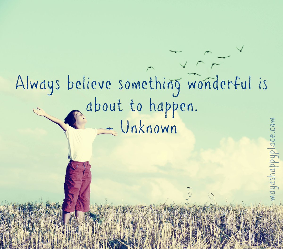 Be a delusional looney bird.🤪“Always believe something wonderful is about to happen.” —Unknown #quotes #positivity