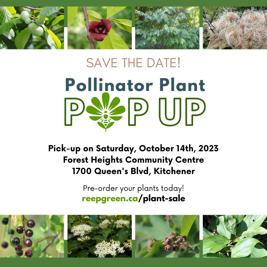 Our Pollinator Plant Pop Up sale is now live and features native tree and shrub species. These plants are a great way to add structure and character to your garden. Order your plants today for pick-up on October 14th.

bit.ly/45SoMrm