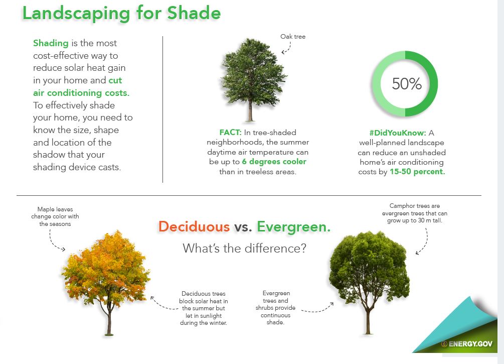 Fall is a great time to plant tress, and good shade trees can help you save 15-50% of annual air conditioning costs. Evergreen trees make great wind blocks, and deciduous trees will block solar heat in the summer but still let in sunlight in the winter! #EnergyTipTuesday