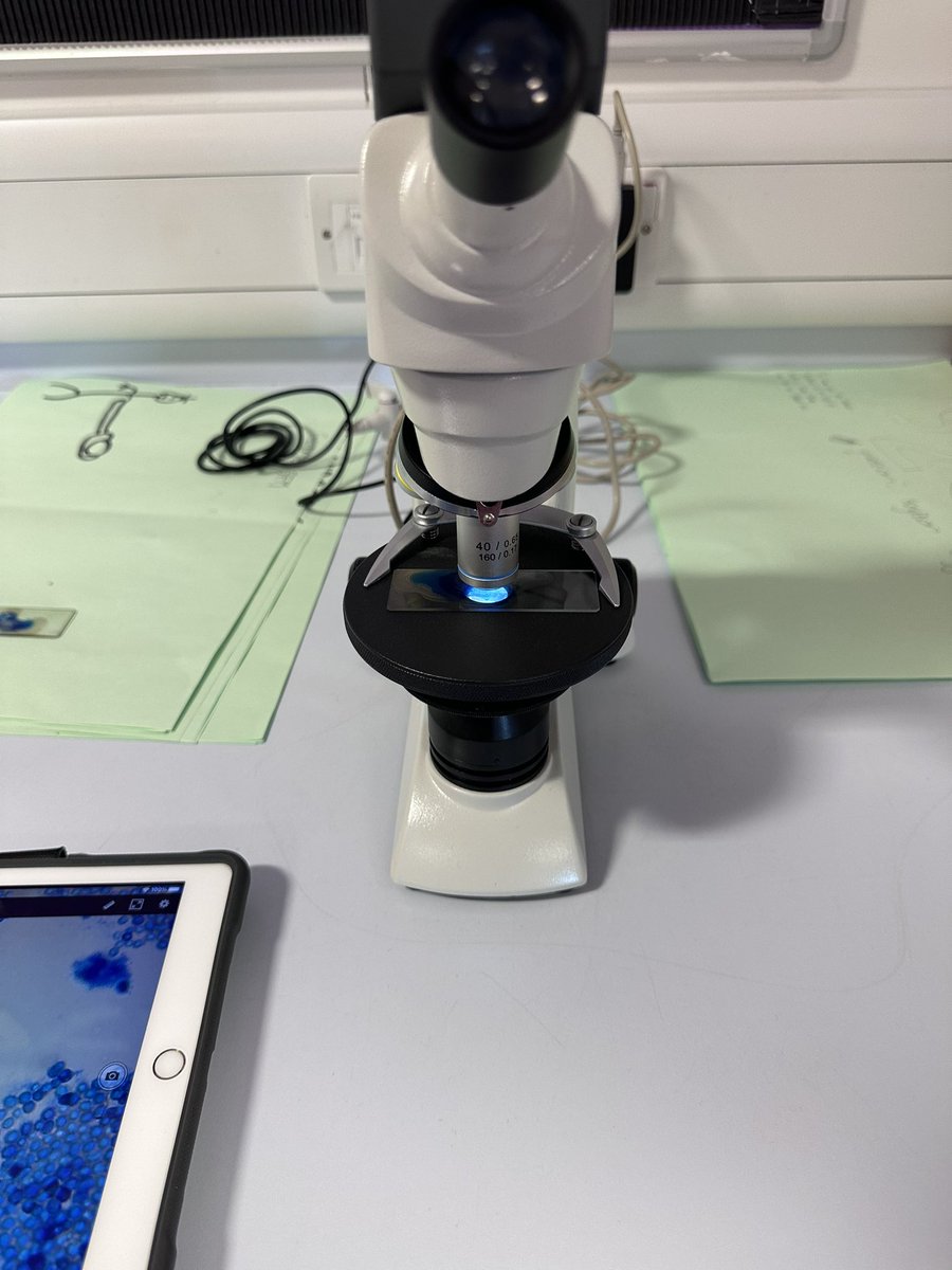 Forrester Science tweet media