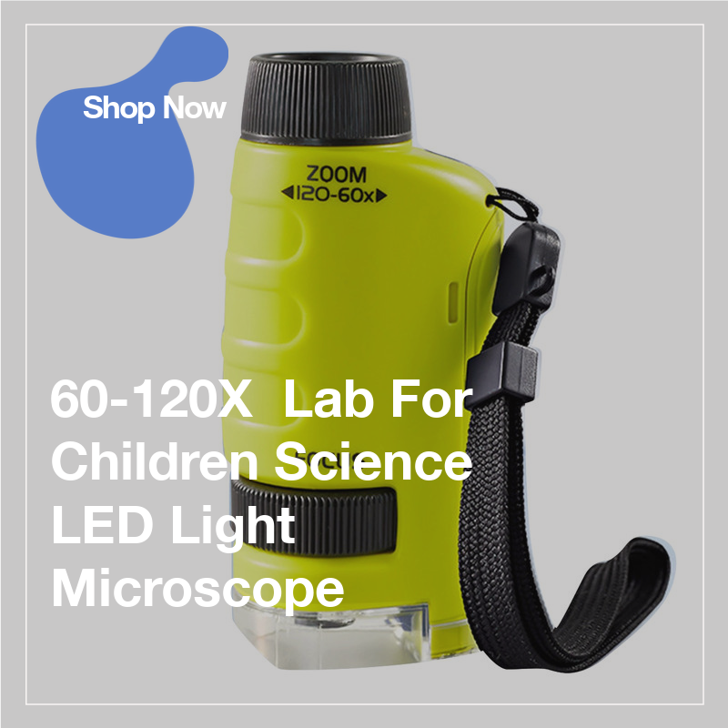 stemk12AZ's tweet photo. 🔬 Dive into the fascinating world of science with our 60-120X Lab For Children Science LED Light Microscope! 🔬
https://t.co/K8Gj8KAcSZ https://t.co/4cc8jw5Afs