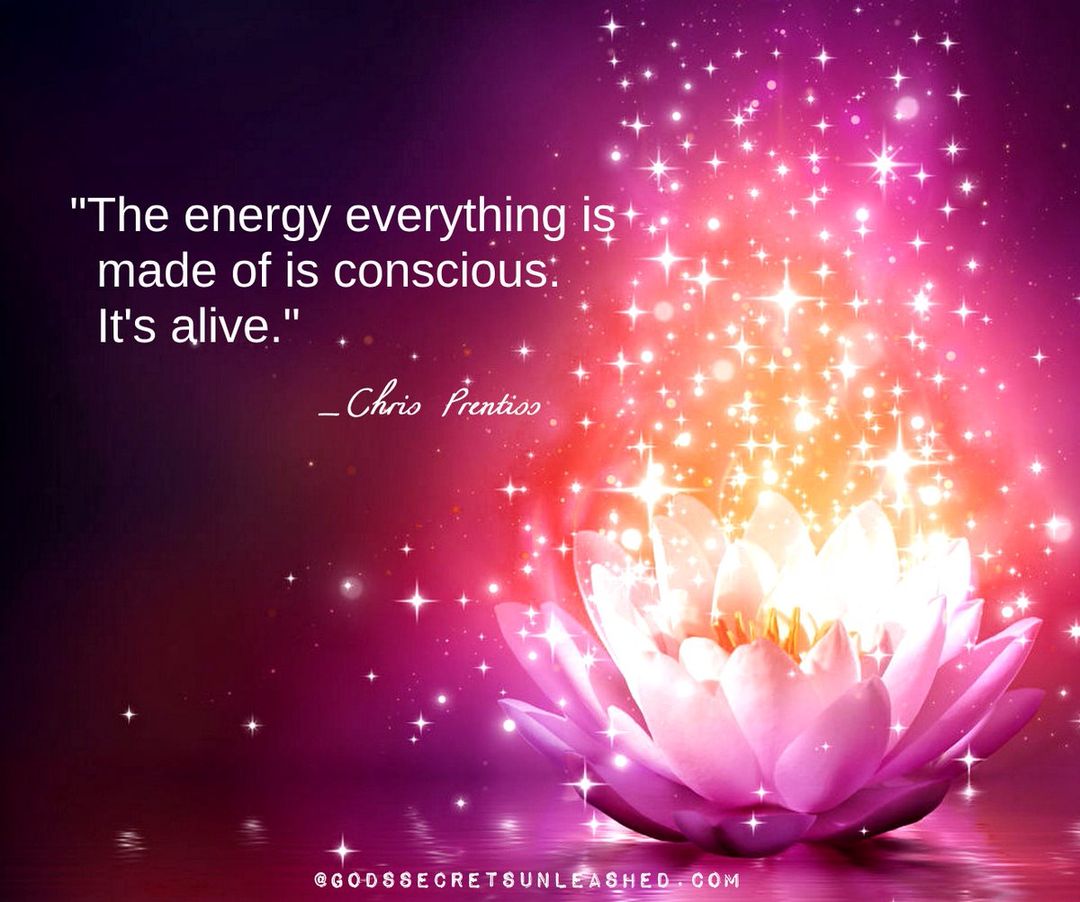 sbraegger11's tweet photo. "The energy everything is made of is conscious." It's alive." _Chris Prentiss #divine #universal #eergy #Source #creation #soul #love #light #oneness #peace #growth #empowerment https://t.co/Ru7SRQiWw8
