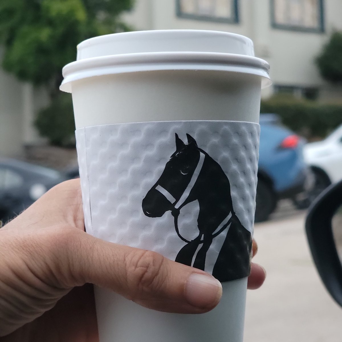 roolitx's tweet photo. #ProofOfCup #DarkHorse #SanDiego https://t.co/s5mlAZ37bt