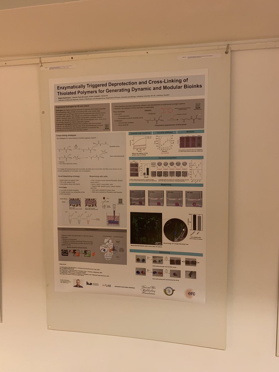 SajNaeimipour's tweet photo. Join me for a discussion on enzymatically triggered crosslinking of thiolated polymers, creating dynamic and modular hydrogels! Catch us at the @ESB3023 poster session during PoA.10.18. 🧪🧬 #Hydrogel #ESB3023 #PolymerScience https://t.co/CoKMEJOikv