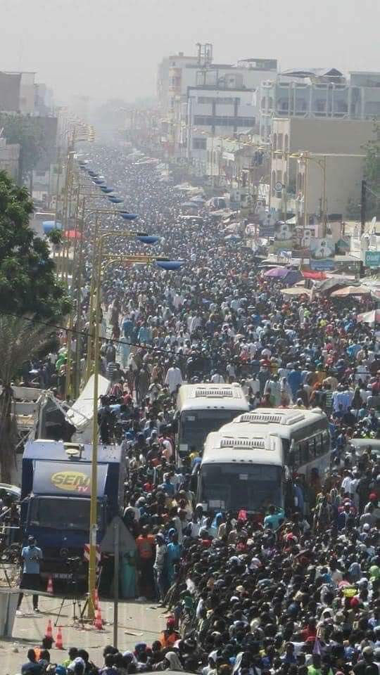 Senegal Development Conslting tweet media