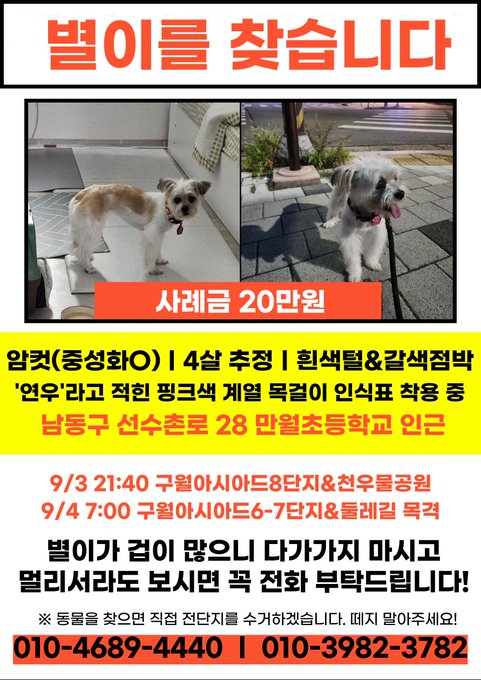 prometh77's tweet photo. [RT 부탁드려요] 인천 구월동에서 잃어버린 갈색 점박이 믹스견 별이를 찾습니다.

인근에서 지속적으로 목격되고 있다니 제보가 큰 힘이 됩니다. 유심히 봐주세요.

보호자 계정 @gomnight https://t.co/oBHJAR61y6