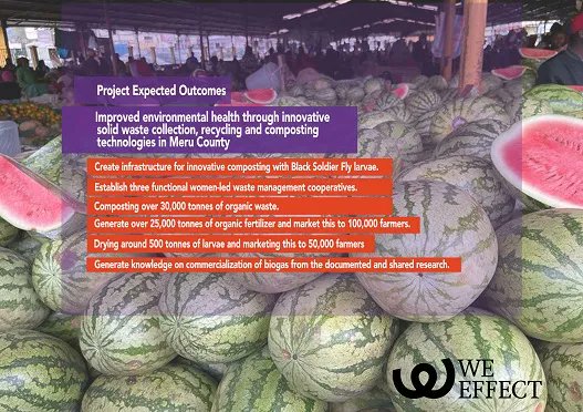 🤝🏾Ready to make a difference? Join our Waste for Cash Eco Project movement! Whether you're a local farmer, a supporter of sustainability, or simply passionate about change, your involvement matters. <a href="/PostcodeLottery/">Postcode Lottery</a>
#BlackSoldierFly
#WasteForCash
#CircularEconomy