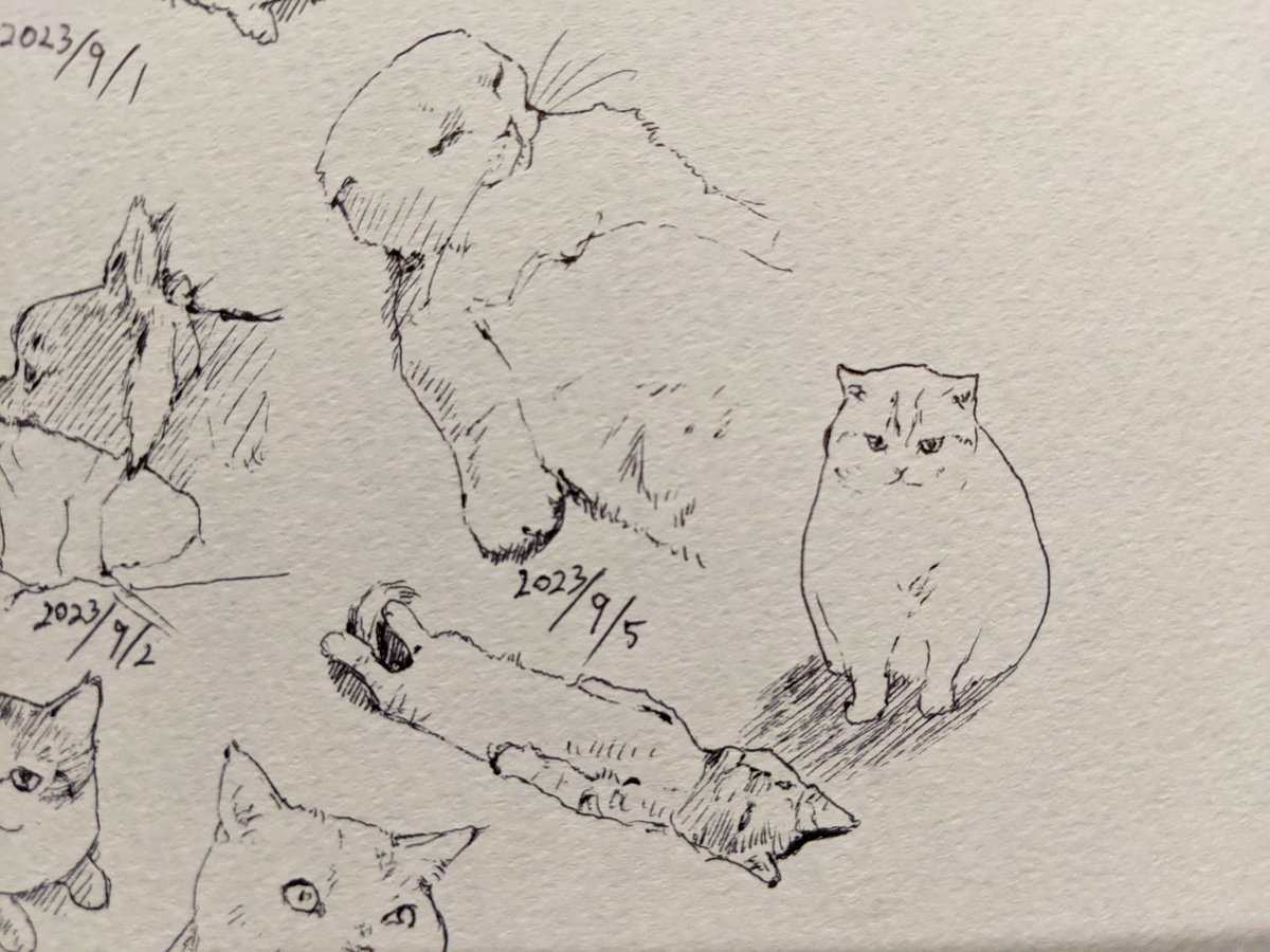 BOSSジャン当てたいなあ カキカキ。 