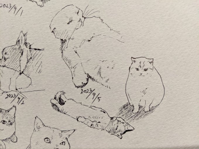 BOSSジャン当てたいなあ カキカキ。 