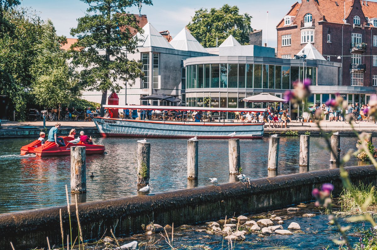 Family Focused Healthcare Research Center tweet media