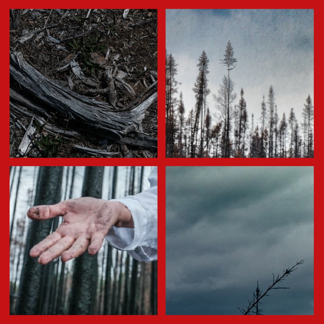 LQ 190 | PRÉ-DÉVOILEMENT

En attendant le grand dévoilement de notre livraison d'automne, 
voici un petit aperçu de la facture visuelle du numéro, dont les photographies ont été prises par Pierre Seager. 

Pour vous abonner à LQ ---&gt; l8r.it/apPk